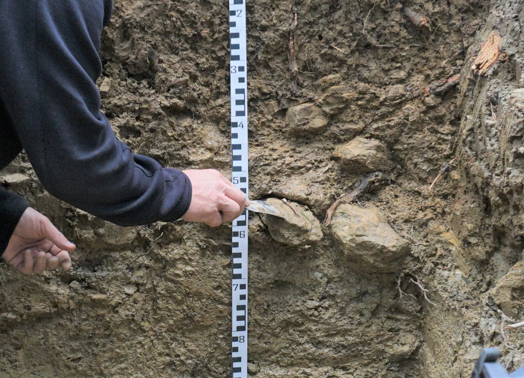 Man blickt auf den Ausschnitt einer grauen Bodenprofilwand. In der Mitte ist ein Maßband angebracht. Eine Person untersucht mit einem Spachtel die in der Mitte der Wand herausragenden hellen Steine.