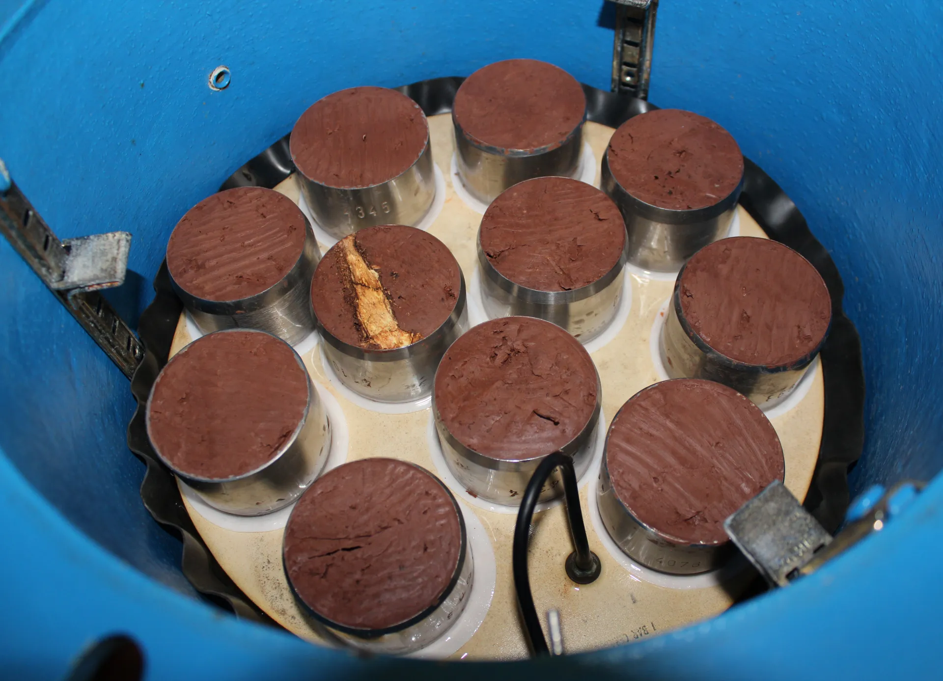 Mehrere mit rötlichem Bodenmaterial gefüllte Metallzylinder stehen in einem Gefäß im Labor.