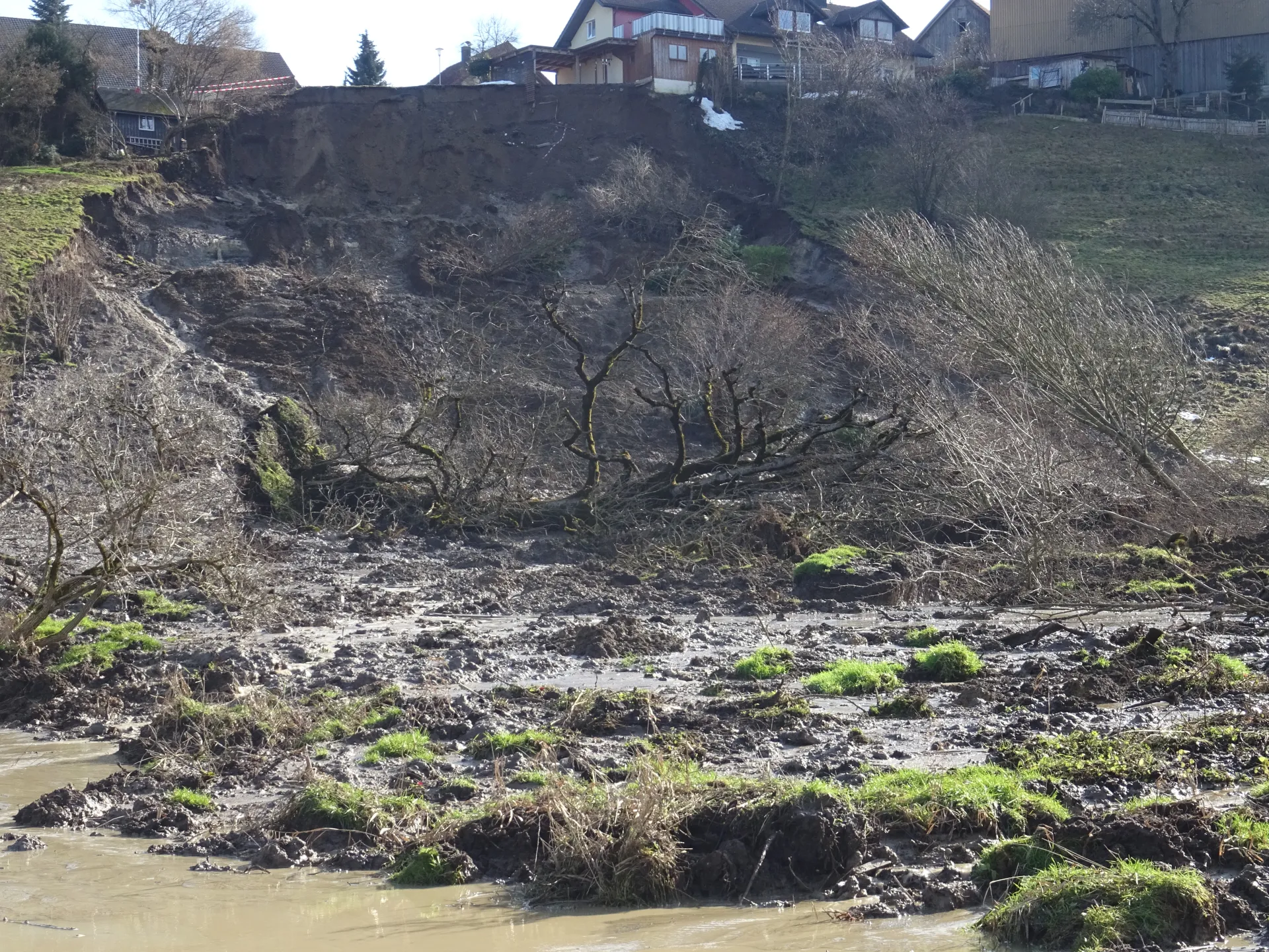 Ansicht einer ausgedehnten Rutschung. Im Vordergrund ist das durchnässte, breiig, schlammige Rutschmaterial zu sehen. Darin befinden sich einige umgestürzte Bäume und zahlreiche Grasfetzen. Im Hintergrund sind die steile Abrisskante der Rutschung und ein unmittelbar daran anschließendes Wohngebäude sichtbar.