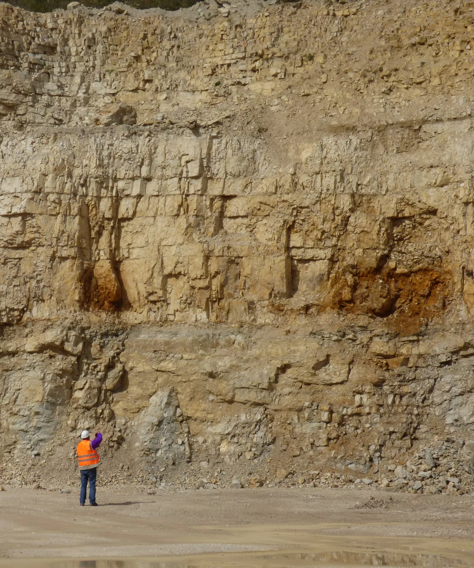 Eine Personen steht vor einer hellbraunen Abbauwand in einem Steinbruch.