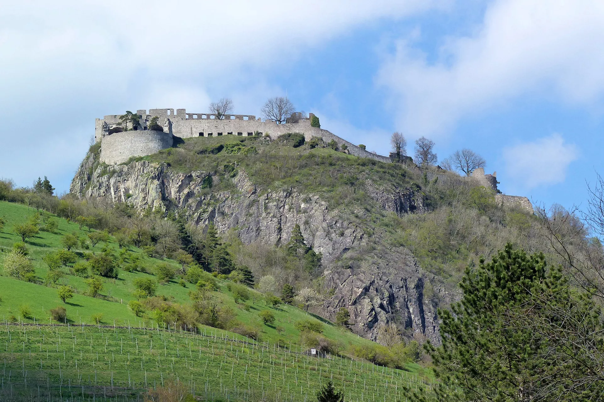 Hinter einem nach rechts abfallenden grünen Hügel, der teils mit Bäumen bestanden, teils mit Rebstöcken bepflanzt ist, erhebt sich rechts ein länglicher Felsenberg. Auf der flachen Kuppe des Berges erstreckt sich eine Burgruine.