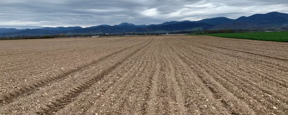 Hinter einer ausgedehnten, ebenen, unbewachsenen Ackerfläche mit sehr viel hellem Kies an der Oberfläche sieht man im Hintergrund ein bewaldetes hohes Bergland und einen dunklen wolkenverhangenen Himmel.