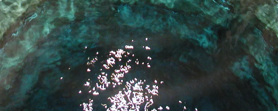 Foto einer bläulich und grünlilch schimmernde Wasseroberfläche